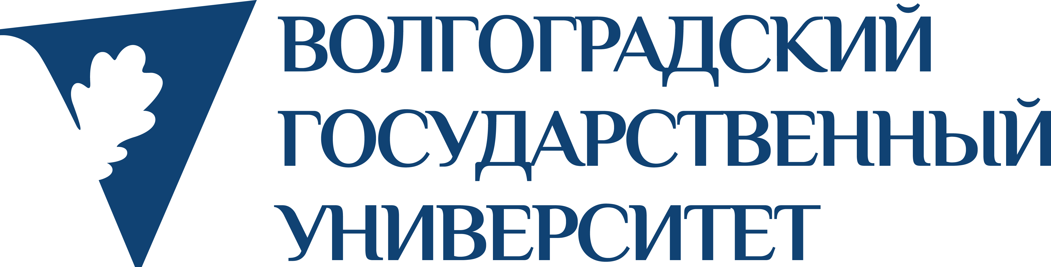 Организаторы и города проведения – Всероссийский кейс-чемпионат школьников  по экономике и предпринимательству – Национальный исследовательский  университет «Высшая школа экономики»